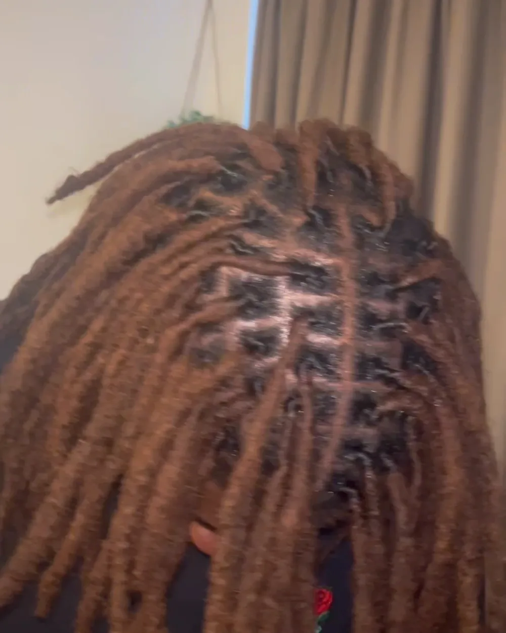 Freeform locs, freshly retwisted and worn loose